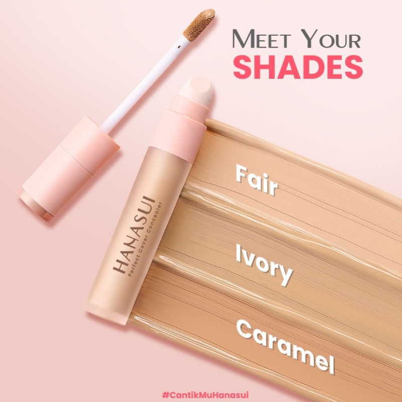 HANASUI PERFECT COVER CONCEALER